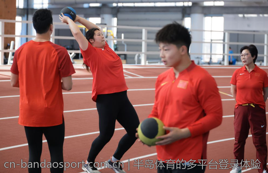 半岛体育的多平台登录体验