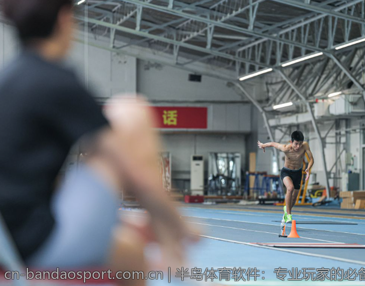 半岛体育软件：专业玩家的必备工具
