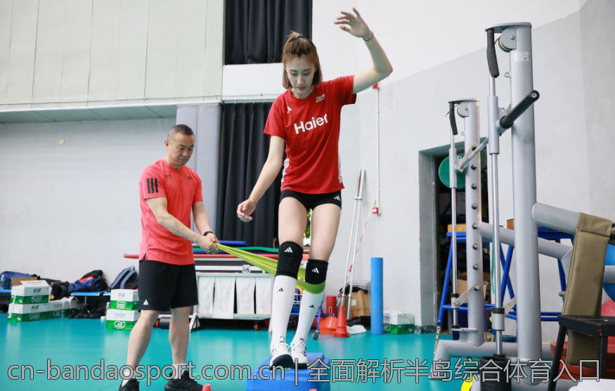 全面解析半岛综合体育入口